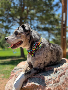 Retro Pride Bow Tie