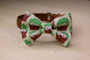 Hedgehog Succulent Premium Bow Tie