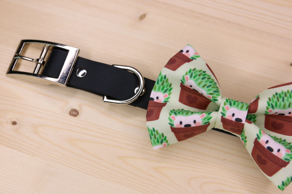 Hedgehog Succulent Premium Bow Tie