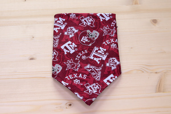 The Lonestar State College Bandana