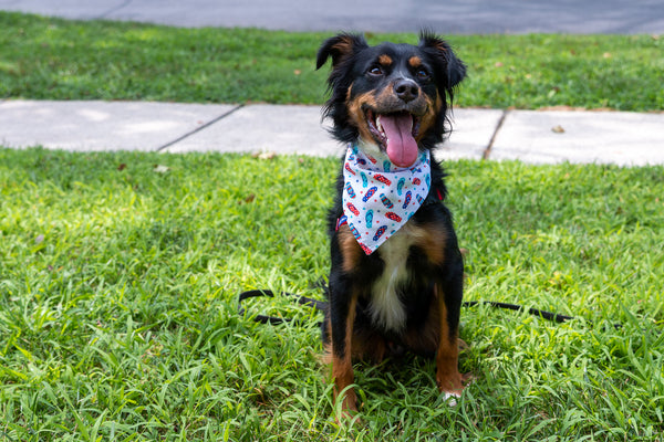 Red, White, and Shoe Bandana