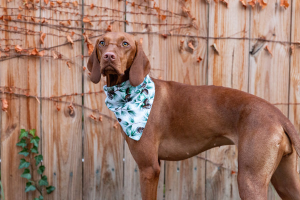 Snow Dusted Pine Bandana