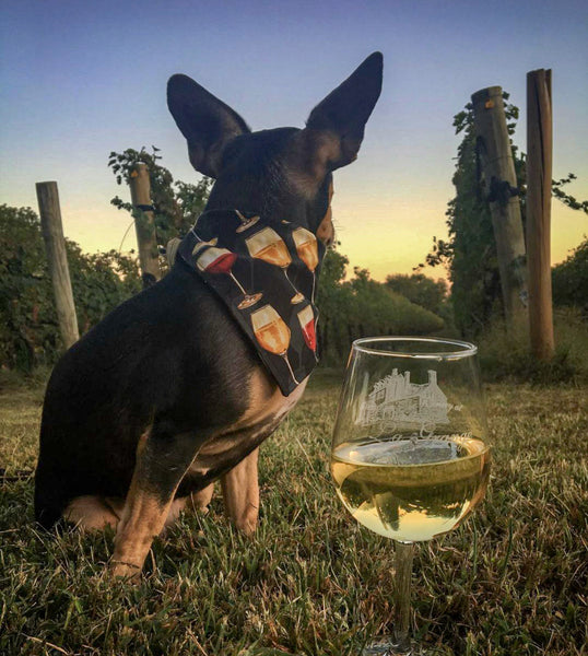 Wine Lover Bandana