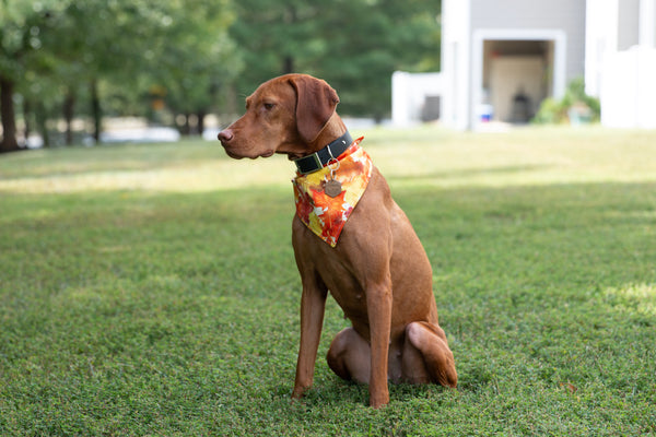 Falling In Love Bandana