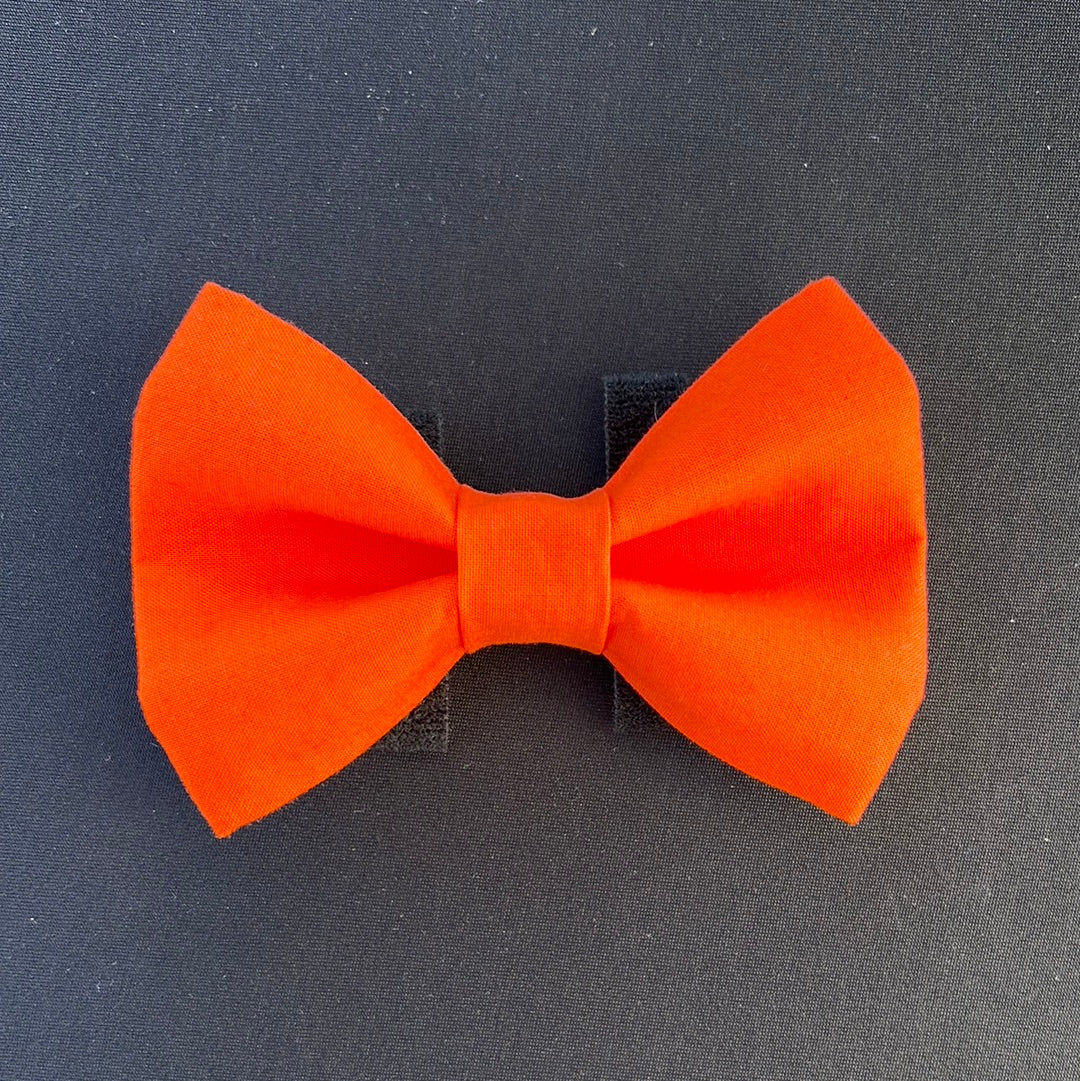 The Orange Bow Tie