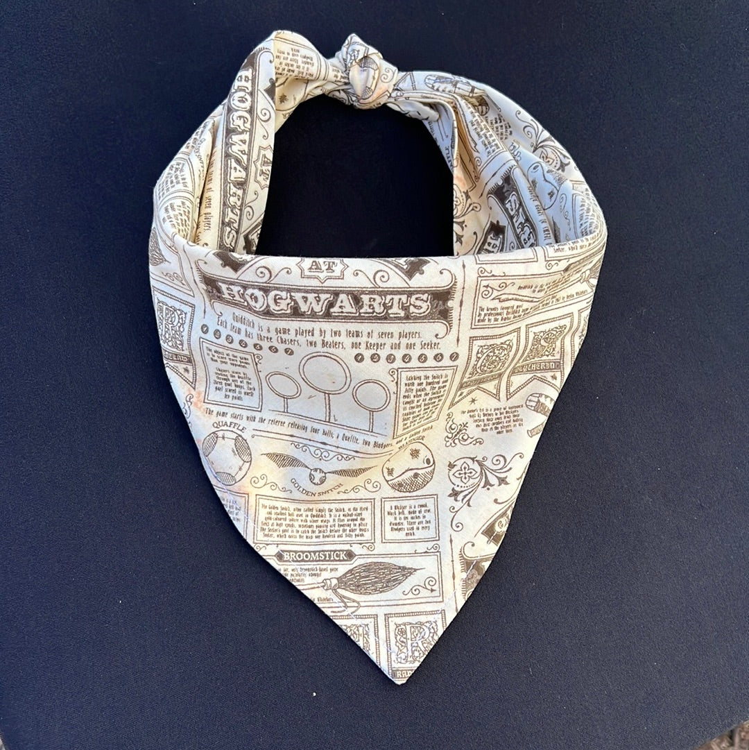 Spellbound Newspaper Bandana